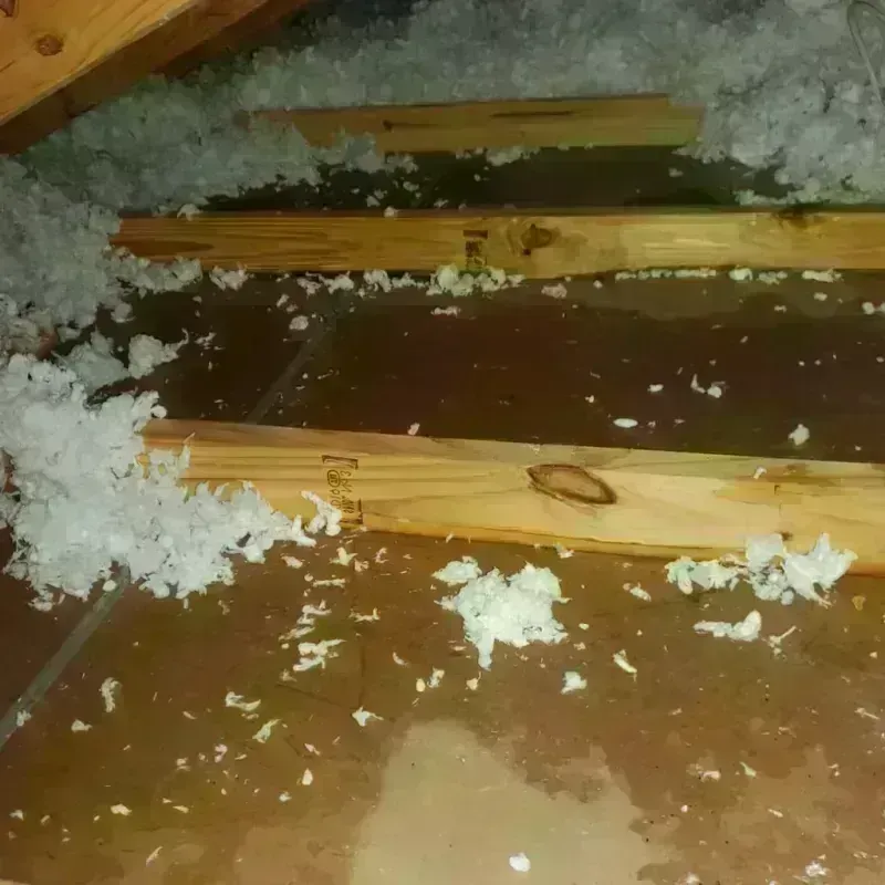 Attic Water Damage in Le Mars, IA